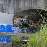 image atom