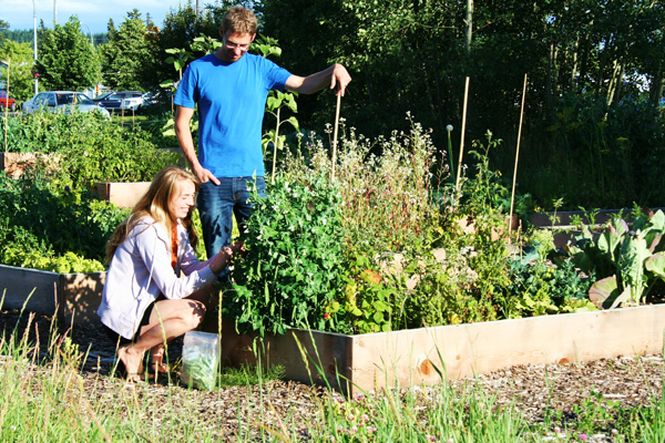 582px version of Prince George gardeners
