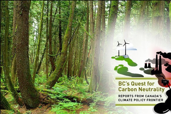 CarbonNeutralTrees-300.jpg