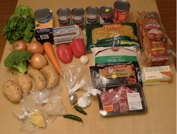 Welfare Challenge food