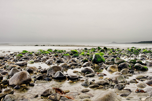 Low tide on North Beach near Massett, Haida Gwaii