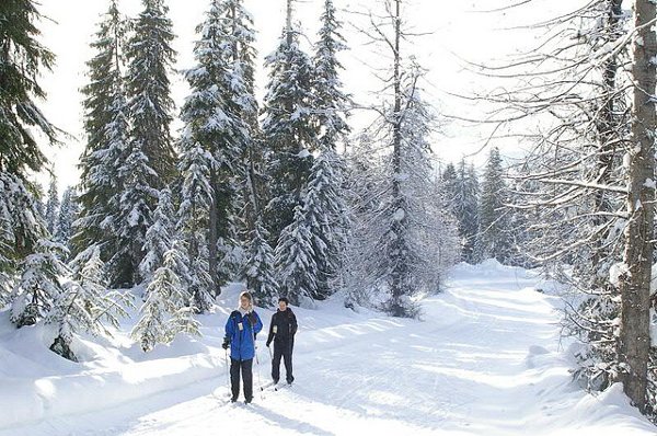 snow-walk.jpg