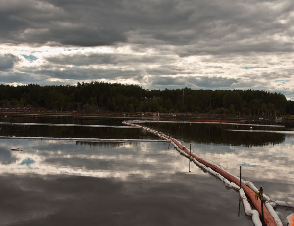coverbitumen.jpg