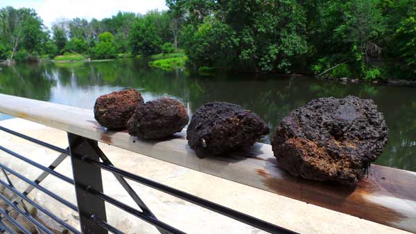 582px version of TarRocks_600px.jpg