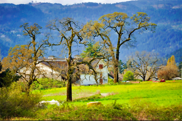 B.C. farmland, Saanich