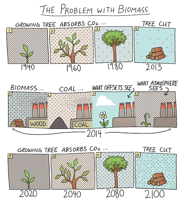 582px version of Biomass graphic