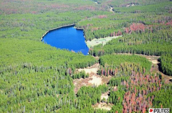 Fish Lake BC