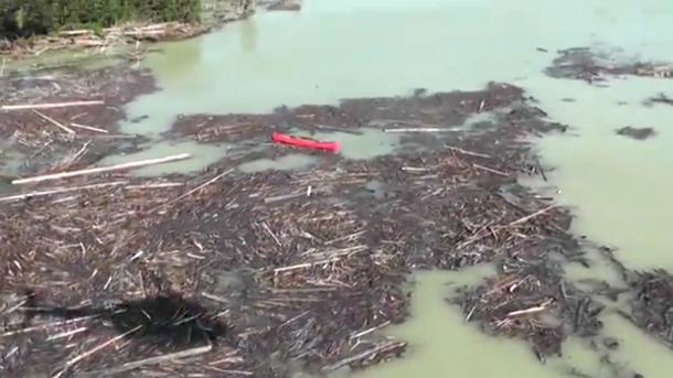 Tailings from Mount Polley tailings pond breach