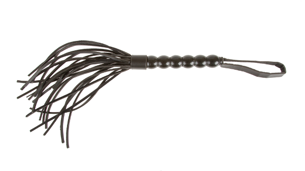 BDSM whip