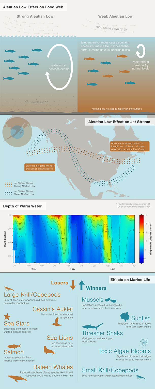 582px version of Blob-graphic-2-610px.png