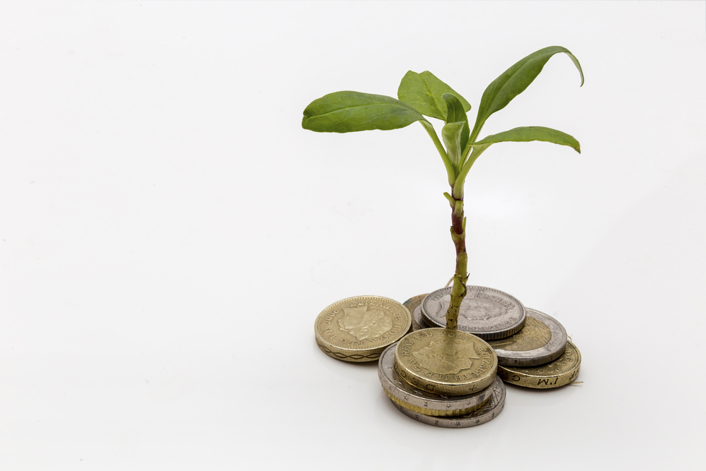 Money tree