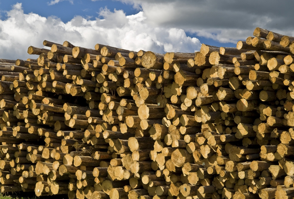 LumberPile.jpg