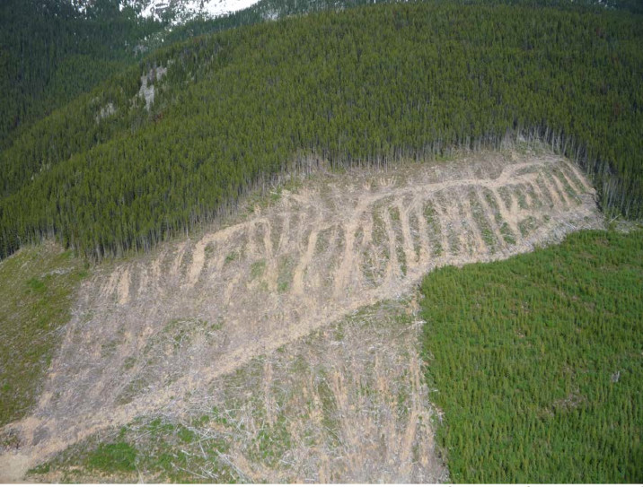 582px version of Soil disturbance