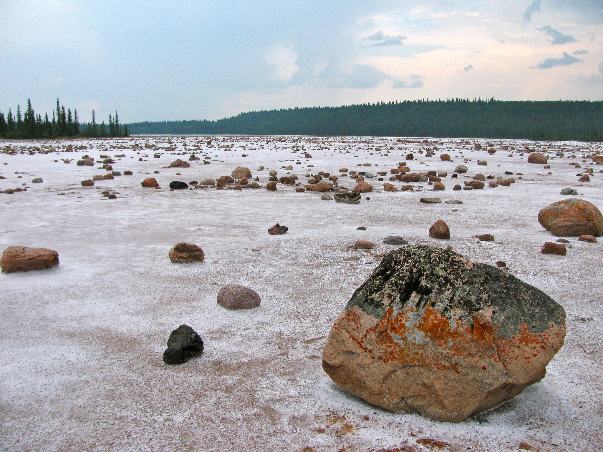 Salt-Plain-Wood-Buffalo.jpg