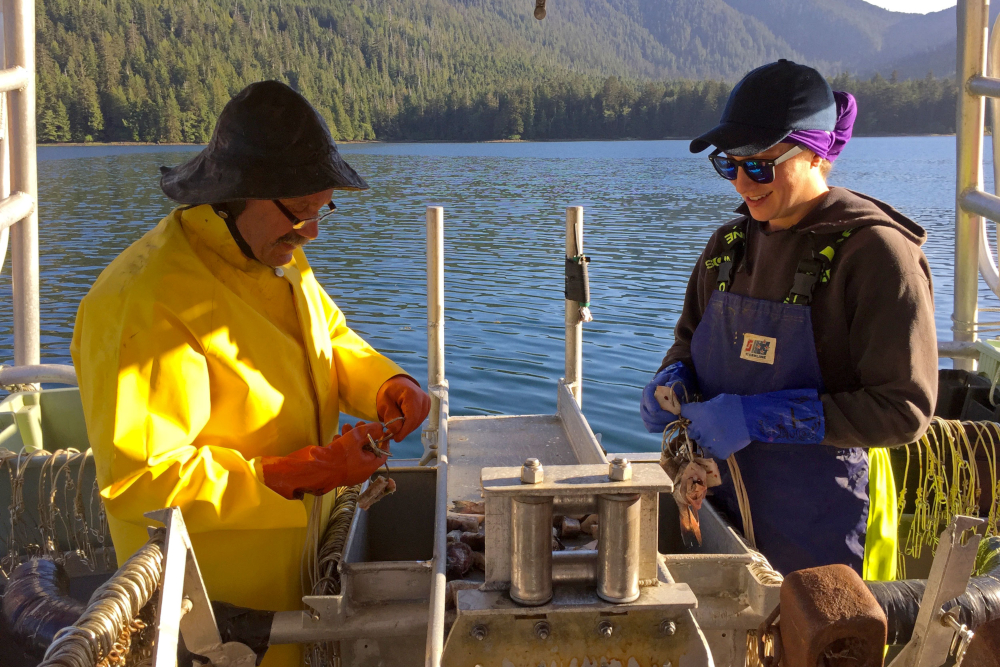 582px version of 1-Baiting-Halibut.jpg