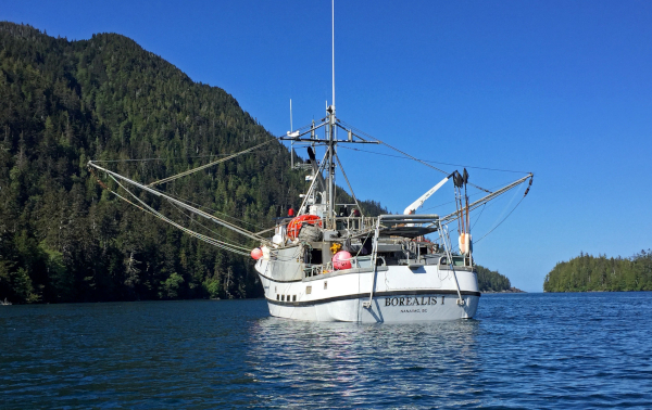 582px version of 3-Boat-Halibut.jpg
