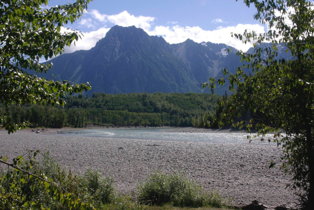 Bulkley and Skeena rivers
