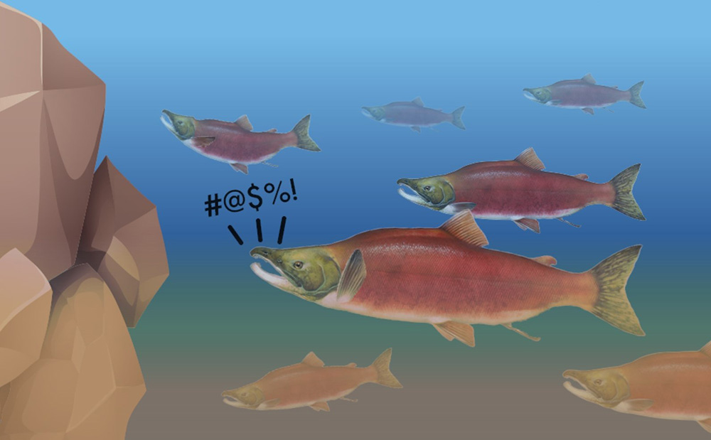 SalmonGauntlet.jpg