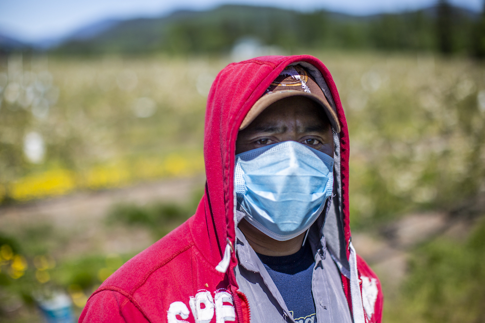 Westberry-Farms-workers-main.jpg