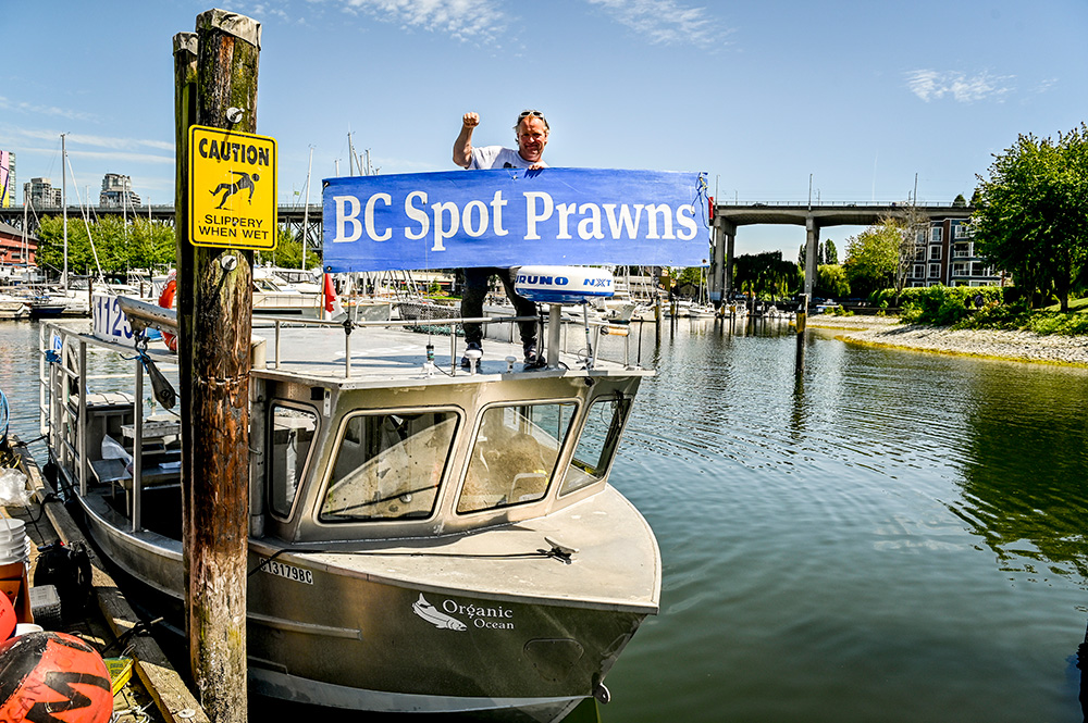 BCSpotPrawnsBoatMarina.jpg