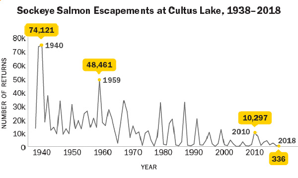 582px version of CultusLakeSalmonReturnsGraph.jpg
