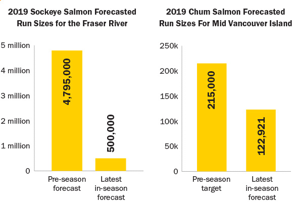 SalmonRunsFraserRiverGraph.jpg