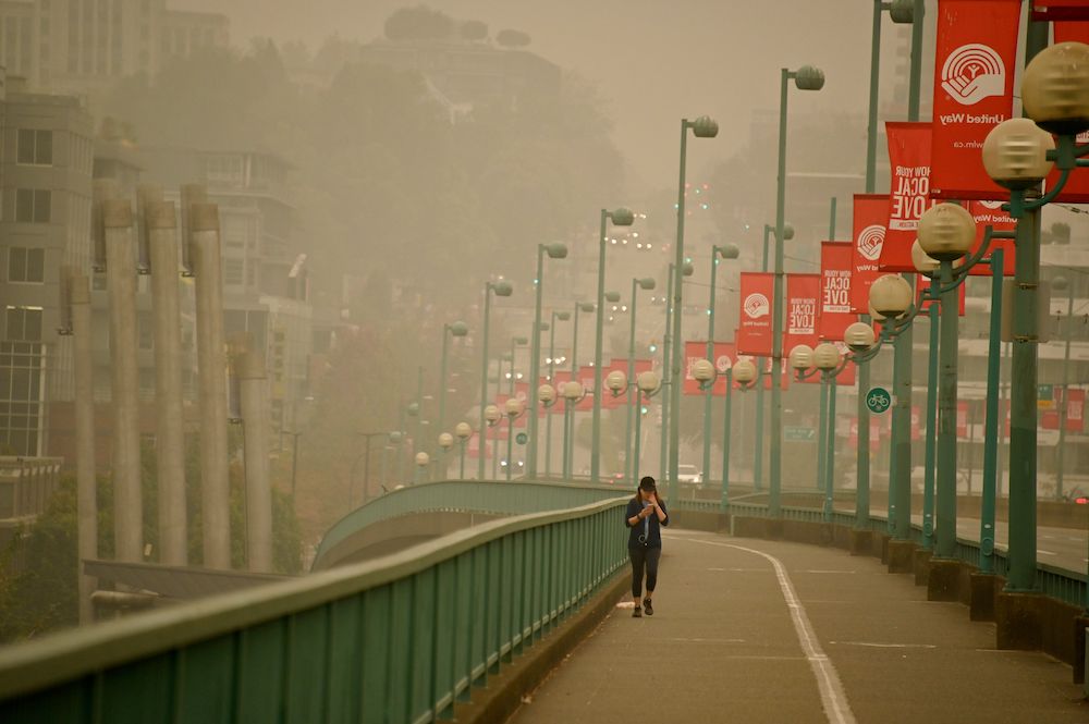 smoke-crossing-bridge-2.jpeg