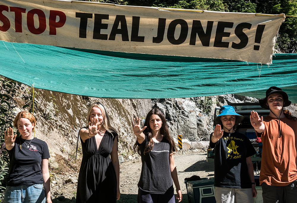 851px version of FairyCreekBlockaders.jpg
