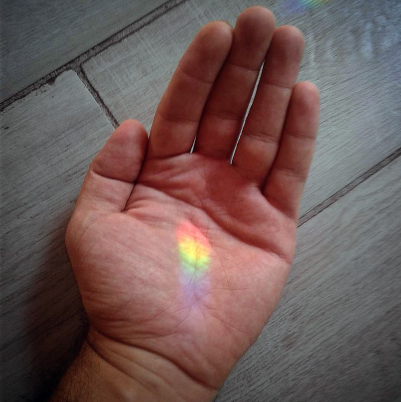 582px version of RainbowPrismPalm.jpg