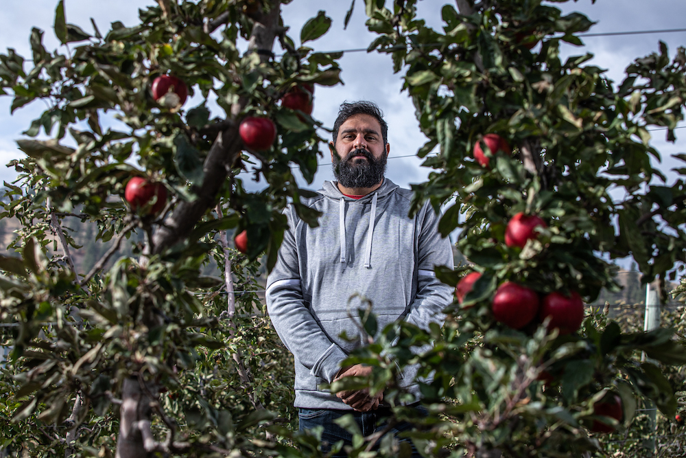 851px version of SukhdeepBrarOrchard.jpg