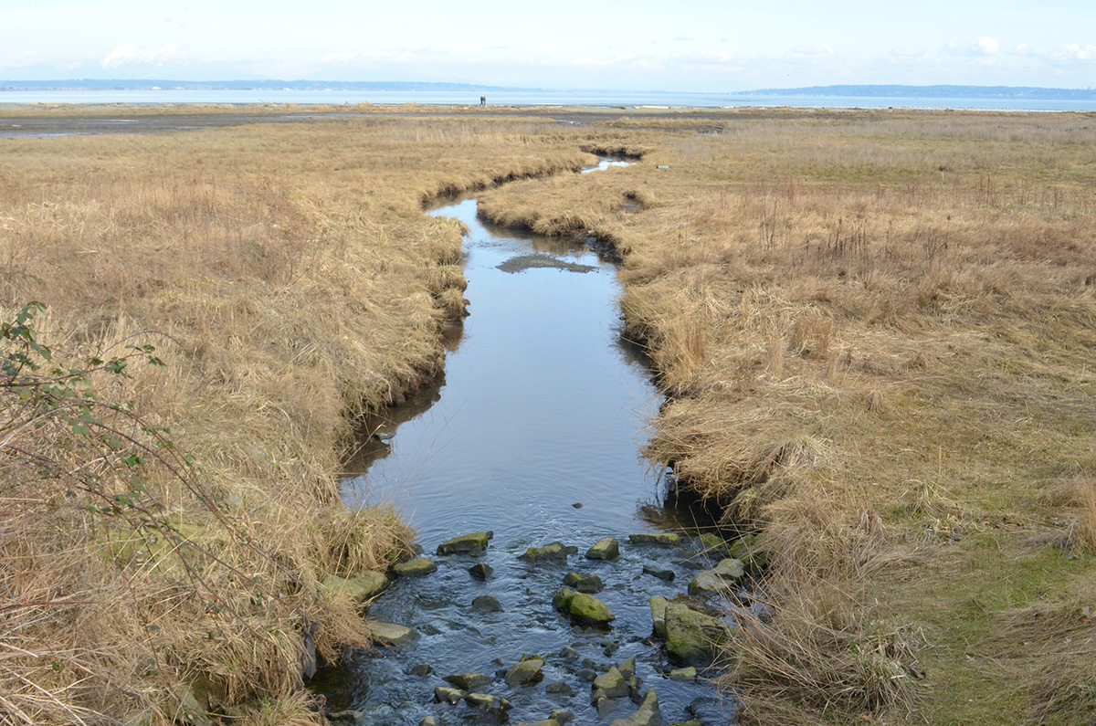 851px version of BoundaryBayDyke.jpg