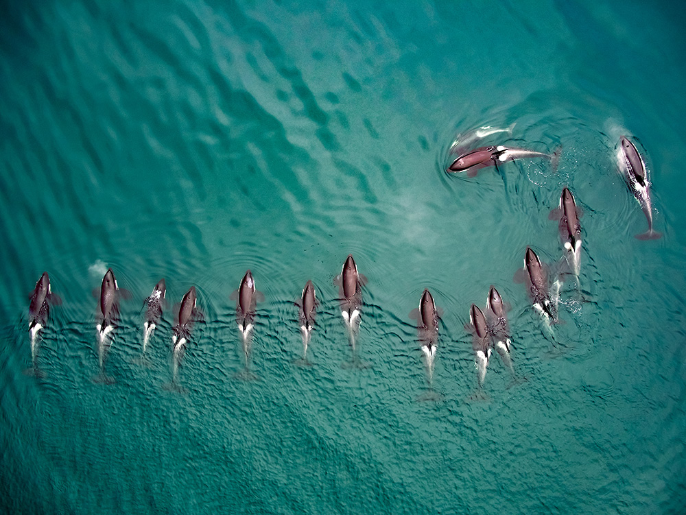 OrcaPodDroneAerial.jpg