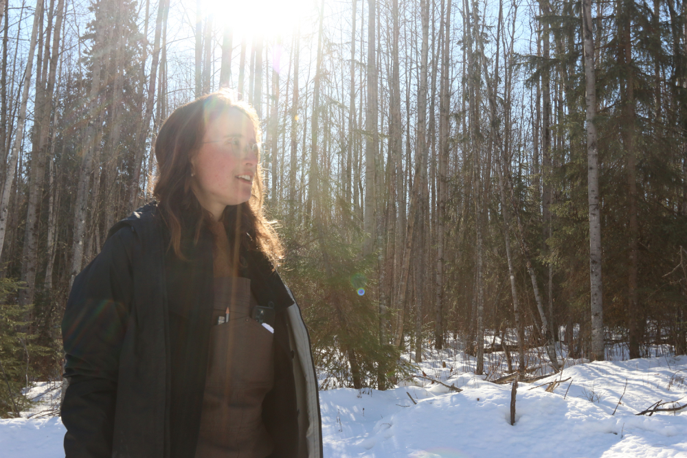 NatashaKupermanSeedTheNorthSeedForest.jpg