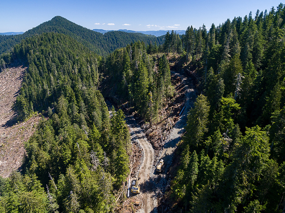 FairyCreekValleyRoads.jpg