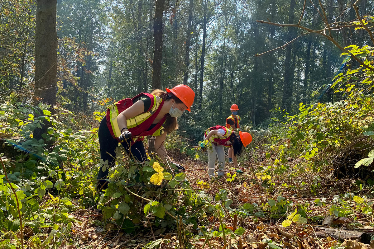 WetlandRestorationHardHats.jpg