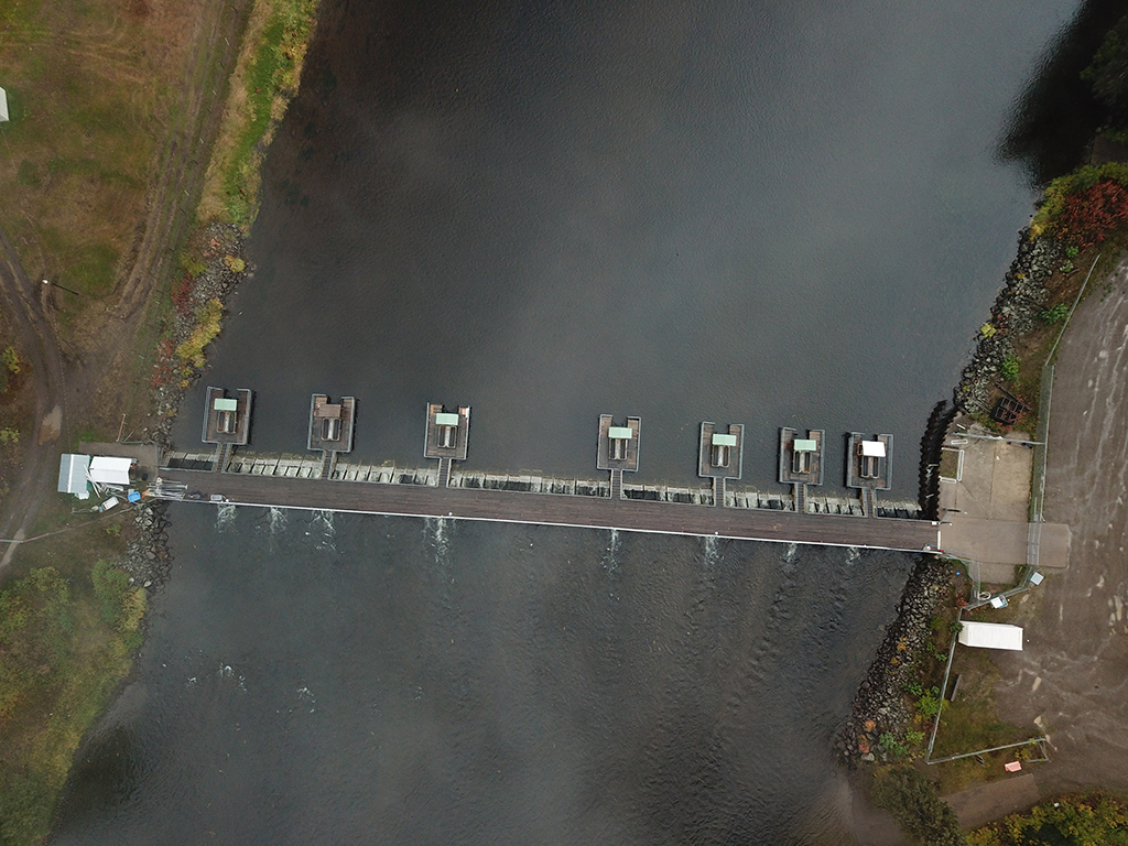 An aerial shot shows the Babine River, with a structure stretching from bank to bank.