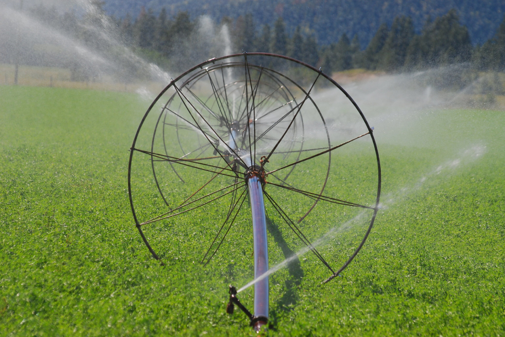 SprinklerAgricultureIndustrialWaterIrrigation.jpeg
