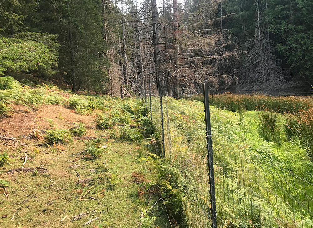 851px version of OslandNatureReserveEnclosure.jpg