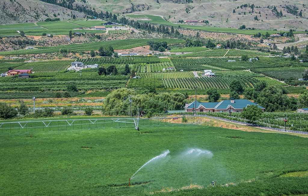 SprinklerFarmField.jpg