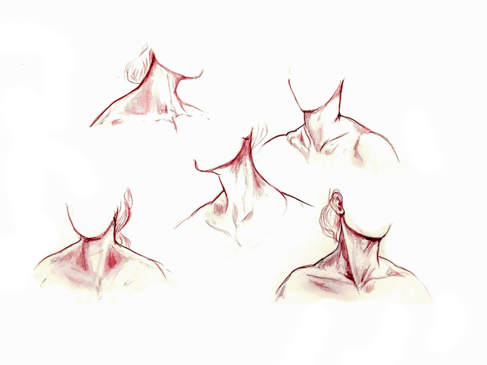 A red pencil illustration of several women&rsquo;s necks.