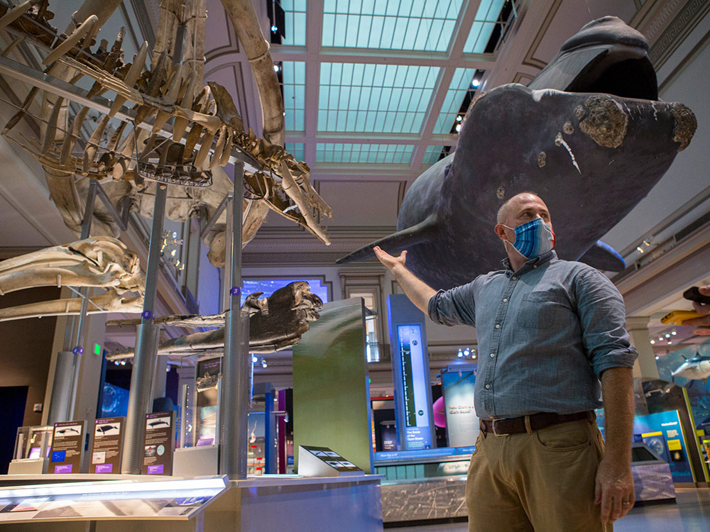 NickPyensonWhaleFossilsMuseum.jpg