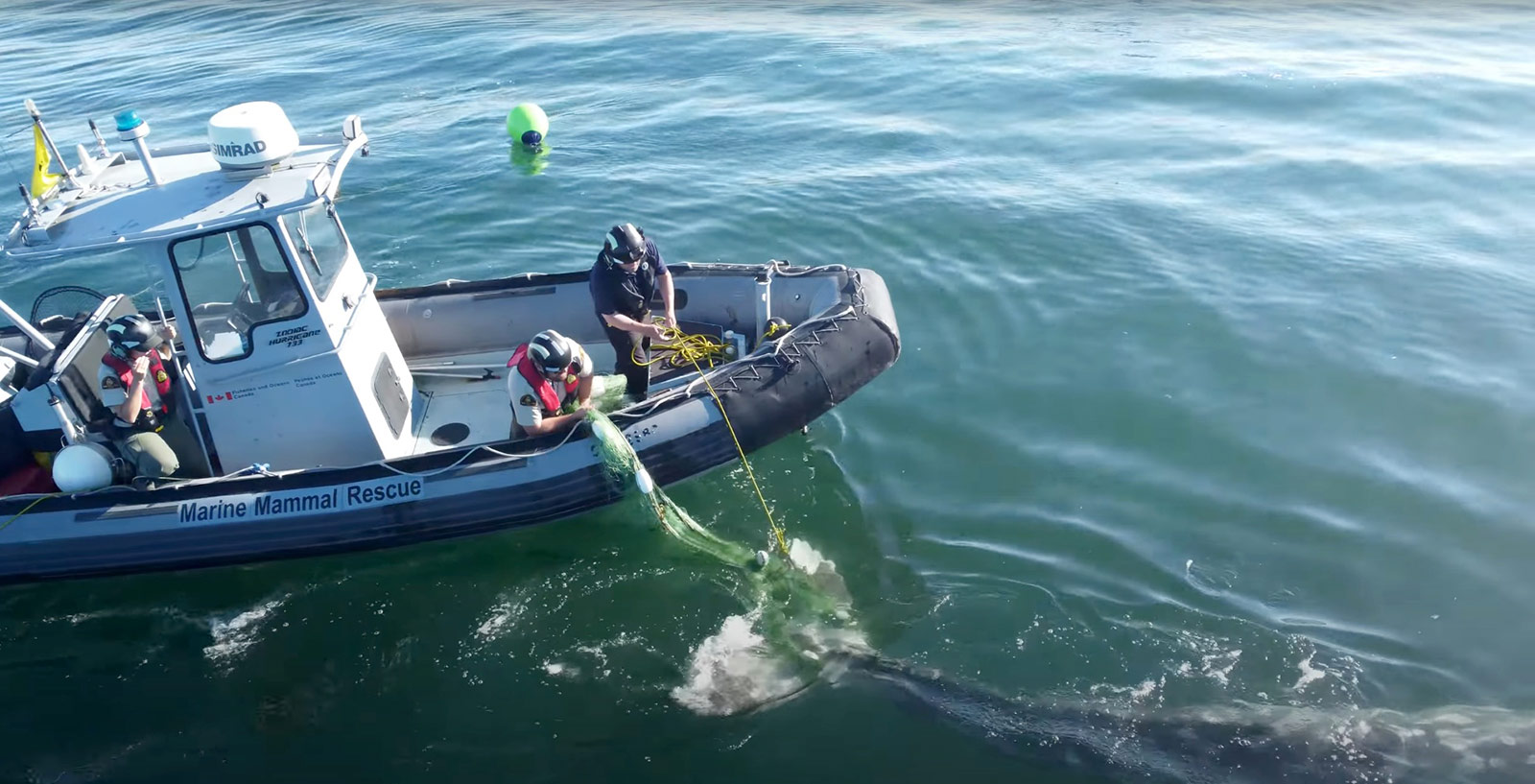 851px version of MarineMammalRescueBoat.jpg