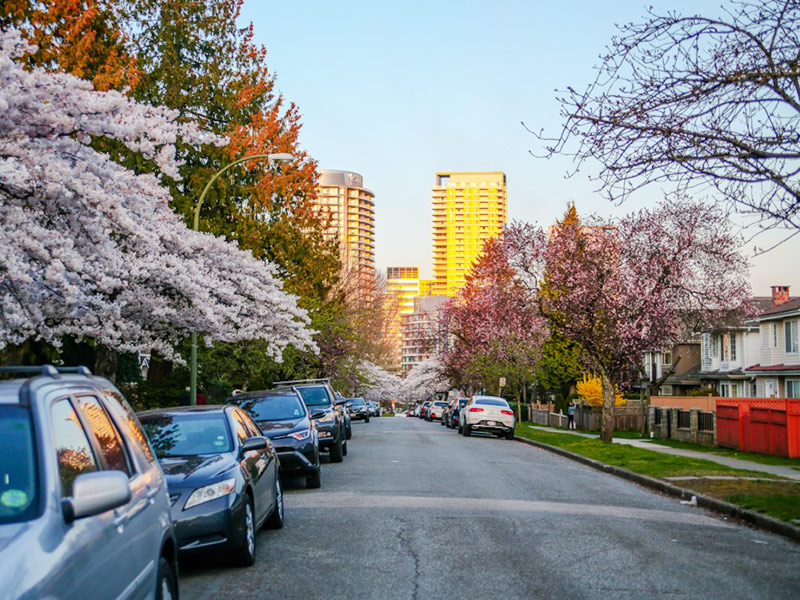 CambieMarpoleVancouverPlan.jpg