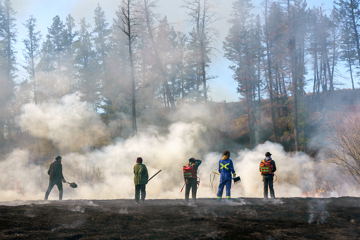 Five figures with their backs to the camera and holding shovels and rakes stand on a smoking and burning grassy ridge with tall trees rising behind.