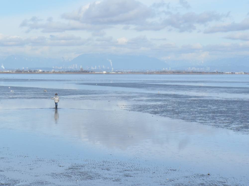 A blue sky is reflected in the water at mid-tide, viewed from Centennial Beach in Delta. A child with their back turned to the camera is walking towards the water, wearing a grey and white striped jacket.