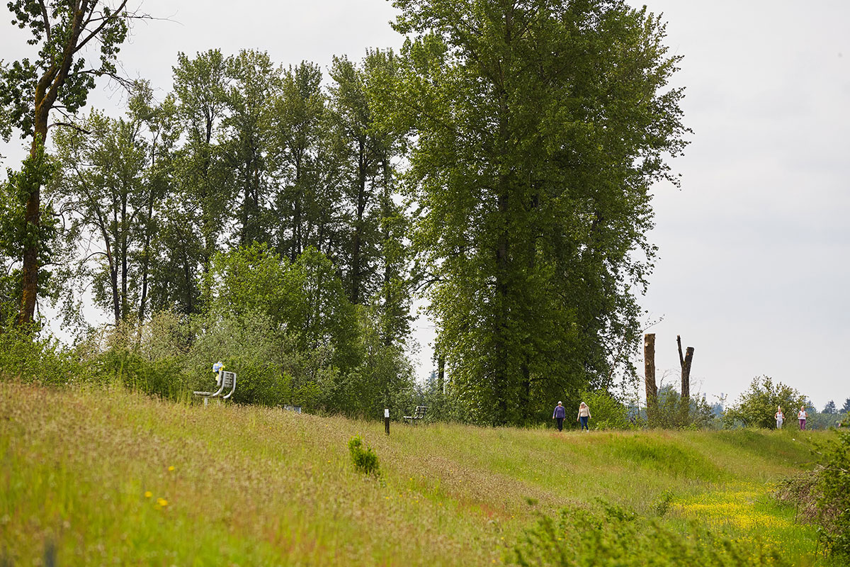 People can be seen in the distance atop of what looks like a grassy knoll. It&rsquo;s a dike in Pitt Meadows built on the Alouette River. Tall green trees are in the background, and lush grass covers the dike.