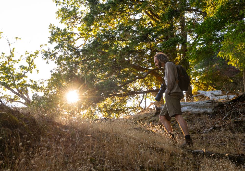 The sun glints through trees as a man wearing a camera ascends a hill.