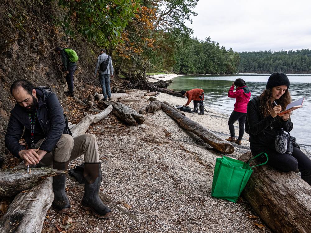 Six BioGaliano volunteers on the beach on Galiano. Each is immersed in their own task &mdash; looking, documenting, taking a photo. 