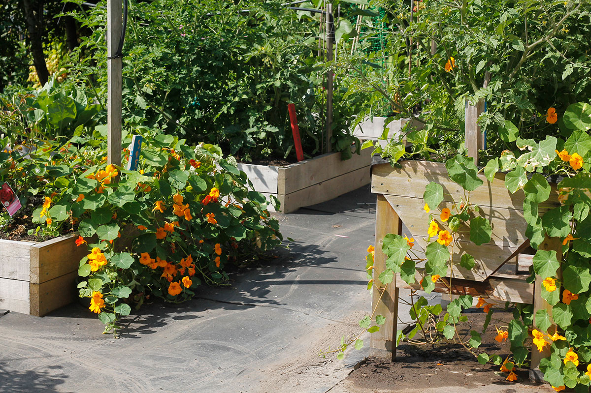 851px version of AccessibleCommunityGarden.jpg