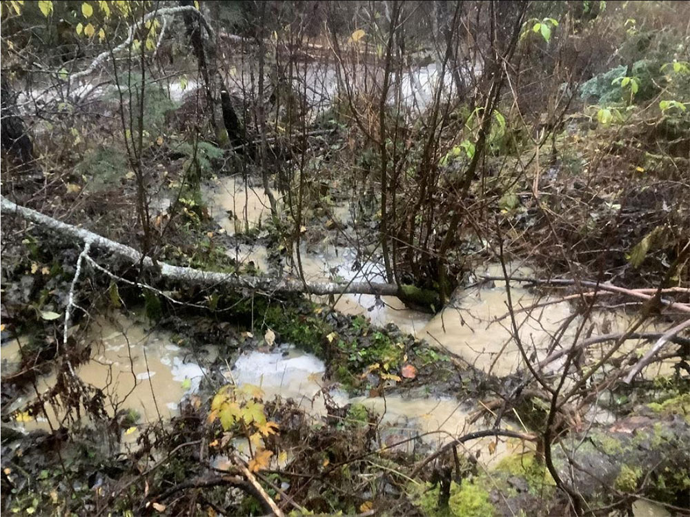 The photo shows silty, muddy puddles in brush, with the nearby Anzac River in the background.